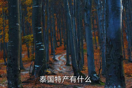 泰國特產(chǎn)有什么