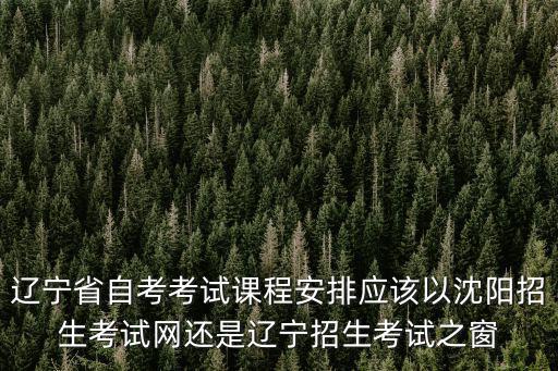 沈陽(yáng)招生網(wǎng)，遼寧省自考考試課程安排應(yīng)該以沈陽(yáng)招生考試網(wǎng)還是遼寧招生考試之窗
