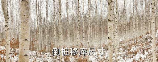 倒樁移庫尺寸
