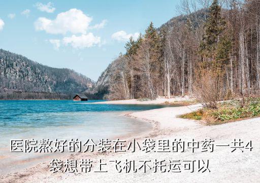 醫(yī)院熬好的分裝在小袋里的中藥一共4袋想帶上飛機(jī)不托運(yùn)可以