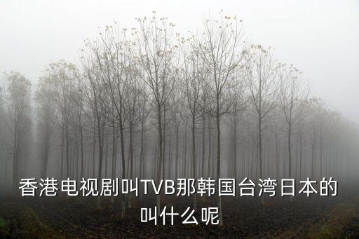 香港電視劇叫TVB那韓國臺灣日本的叫什么呢