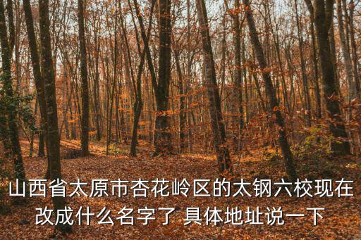 山西省太原市杏花嶺區的太鋼六?，F在改成什么名字了 具體地址說一下