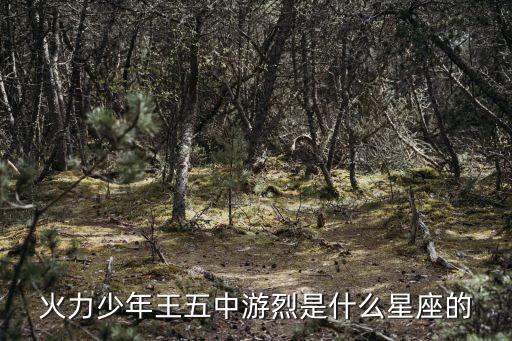 火力少年王五中游烈是什么星座的