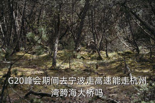 G20峰會期間去寧波走高速能走杭州灣跨海大橋嗎