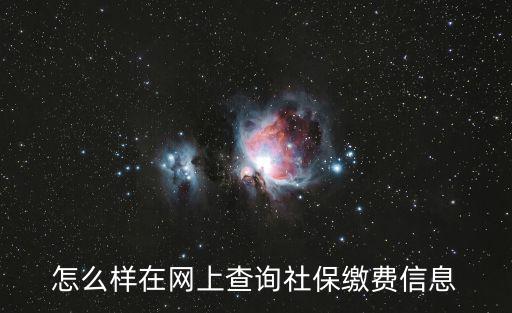怎么樣在網上查詢社保繳費信息