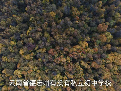 云南省德宏州有沒(méi)有私立初中學(xué)校