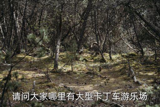 卡丁車游樂場，請問大家哪里有大型卡丁車游樂場