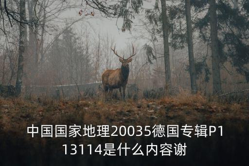 中國國家地理20035德國專輯P113114是什么內容謝