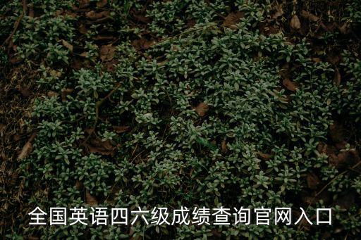 四級成績查詢?nèi)肟冢珖⒄Z四六級成績查詢官網(wǎng)入口