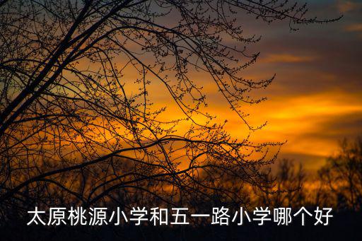 太原桃源小學和五一路小學哪個好