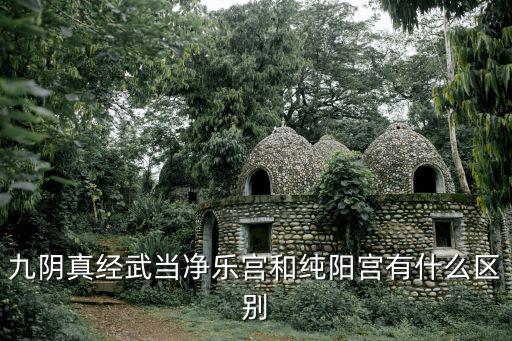 純陽宮，九陰真經武當凈樂宮和純陽宮有什么區別