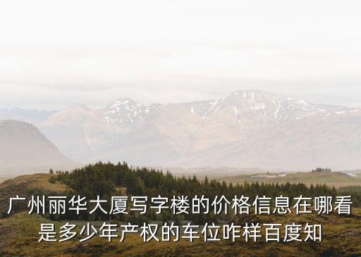 麗華大廈，廣東省廣州市荔灣區(qū)麗華大廈B01是什么地方