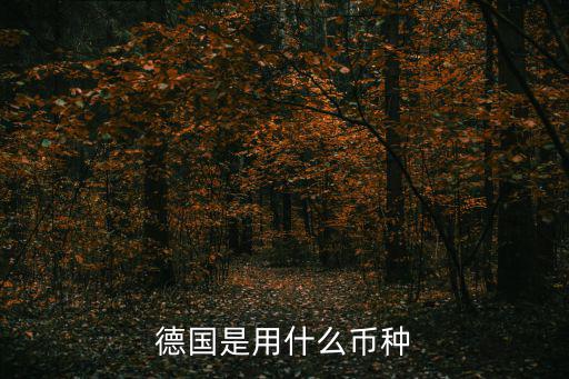德國是用什么幣種