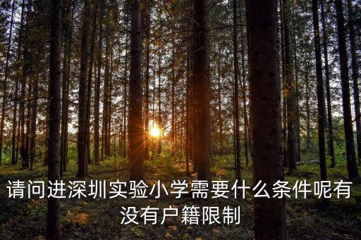 請問進深圳實驗小學需要什么條件呢有沒有戶籍限制