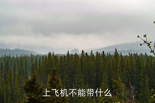 上飛機(jī)不能帶什么
