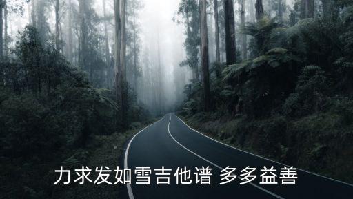 力求發(fā)如雪吉他譜 多多益善