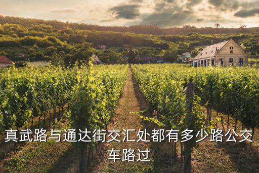 真武路與通達街交匯處都有多少路公交車路過