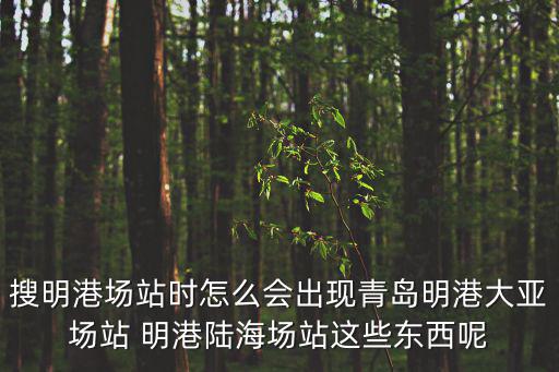 搜明港場(chǎng)站時(shí)怎么會(huì)出現(xiàn)青島明港大亞場(chǎng)站 明港陸海場(chǎng)站這些東西呢
