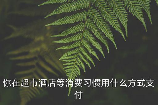 你在超市酒店等消費習慣用什么方式支付