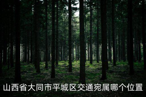 大同市平城區(qū)，山西省大同市平城區(qū)交通宛屬哪個(gè)位置