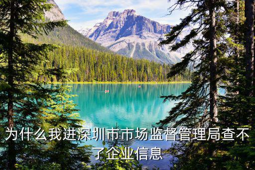 為什么我進(jìn)深圳市市場監(jiān)督管理局查不了企業(yè)信息