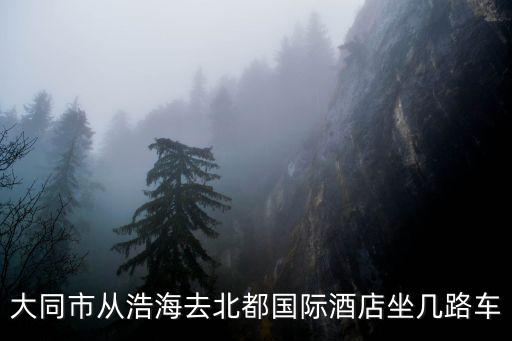 大同市從浩海去北都國際酒店坐幾路車