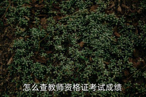 怎么查教師資格證考試成績