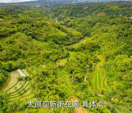 太原迎新街在哪 具體點