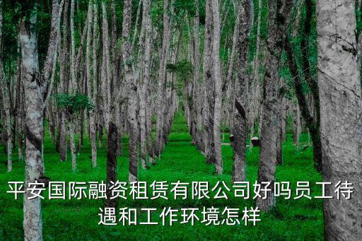 平安國際融資租賃有限公司好嗎員工待遇和工作環(huán)境怎樣
