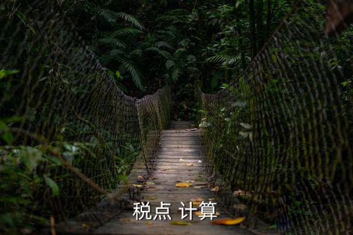 稅計算，怎樣計算稅點