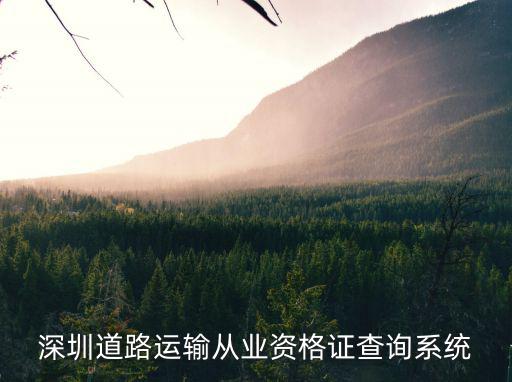 深圳道路運(yùn)輸從業(yè)資格證查詢系統(tǒng)