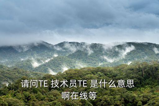 請問TE 技術員TE 是什么意思 啊在線等