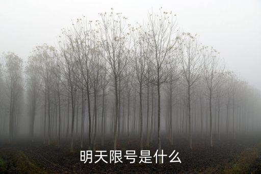 明天限行，明天限號(hào)是什么