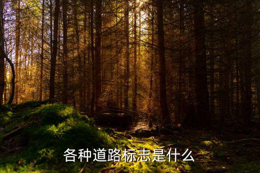 各種道路標志是什么