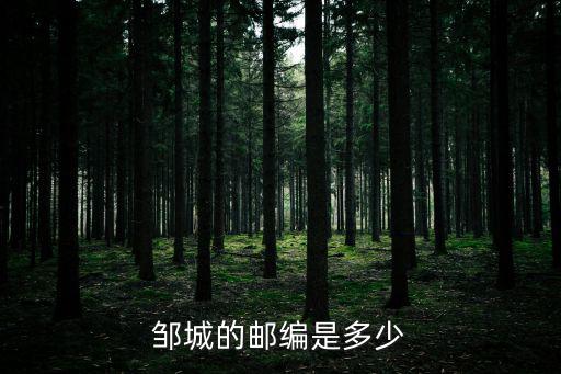 鄒城郵編，山東省鄒城市大束鎮匡莊 和 南各的郵政編碼