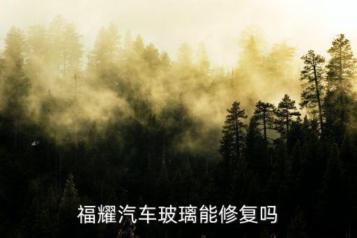 福耀汽車玻璃，福耀前擋風玻璃多少錢啊速騰 和原廠玻璃比較呢