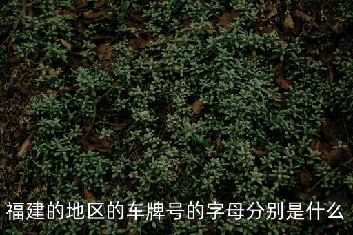 福建的地區的車牌號的字母分別是什么