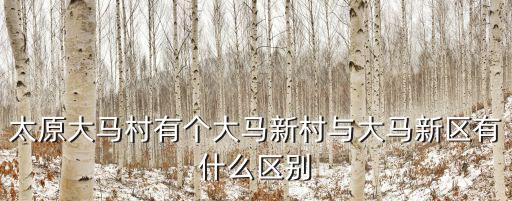 太原大馬村有個大馬新村與大馬新區有什么區別