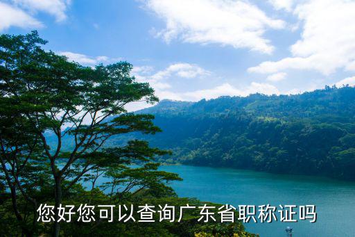 您好您可以查詢廣東省職稱證嗎
