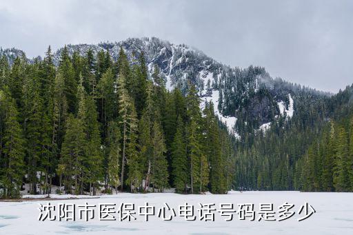 沈陽醫保電話，沈陽市醫療保險中心地址和電話