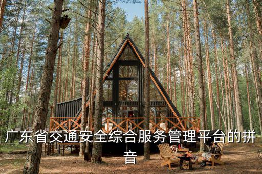 廣東交通安全綜合服務管理平臺，在廣東省交通安全綜合服務管理平臺注冊時提示辦理初次申領駕駛證的手