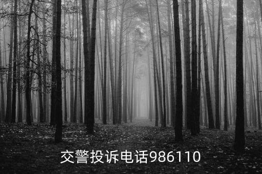 交警投訴電話986110