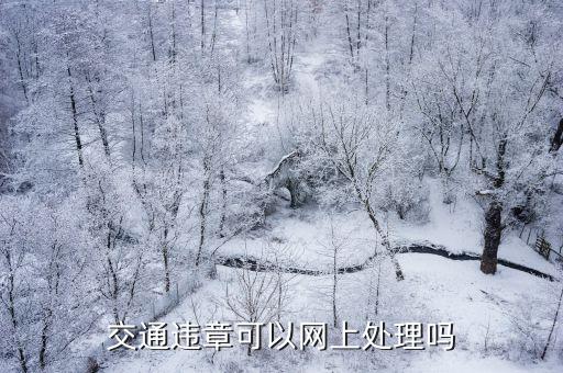交通違章可以網上處理嗎