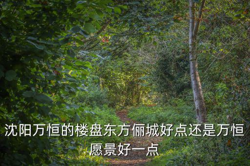 沈陽萬恒的樓盤東方儷城好點還是萬恒愿景好一點
