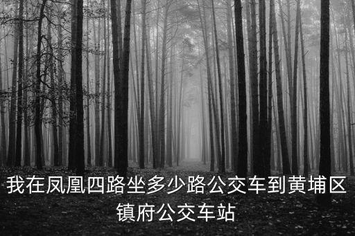 我在鳳凰四路坐多少路公交車到黃埔區鎮府公交車站