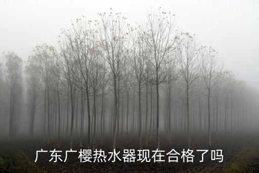 廣東廣櫻熱水器現在合格了嗎