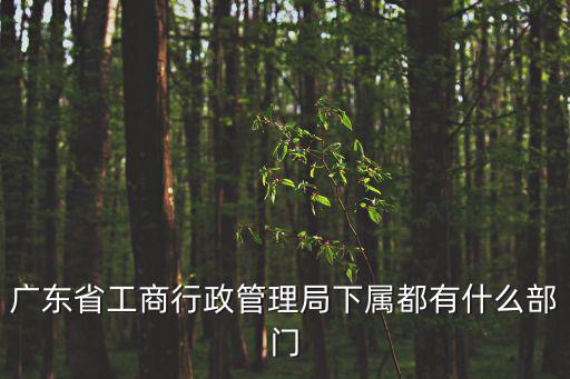 廣東省工商行政管理局下屬都有什么部門