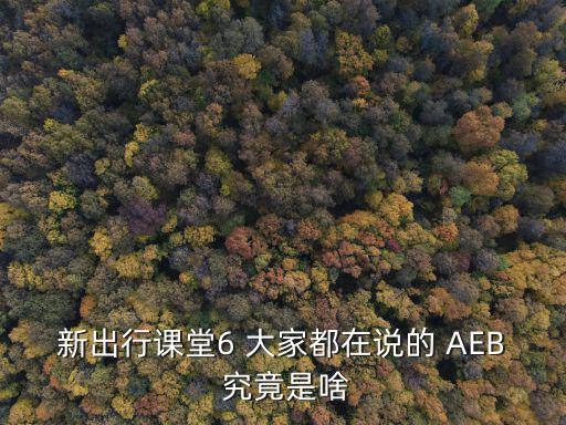 新出行課堂6 大家都在說的 AEB 究竟是啥