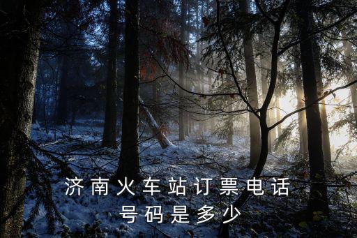 濟(jì) 南 火 車 站 訂 票 電 話 號 碼 是 多 少
