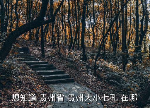 貴州小七孔景區，想知道 貴州省 貴州大小七孔 在哪